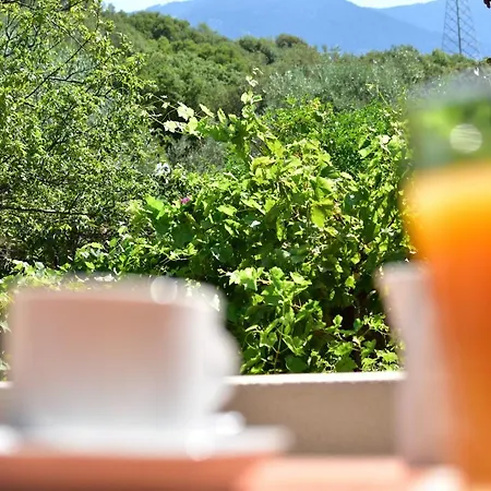 Evianna Apartment Mousata