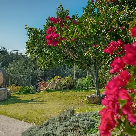 Apartment Evianna Mousata