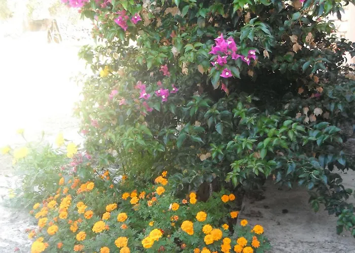 爱维纳公寓 莫斯塔