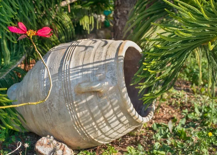 公寓 爱维纳公寓