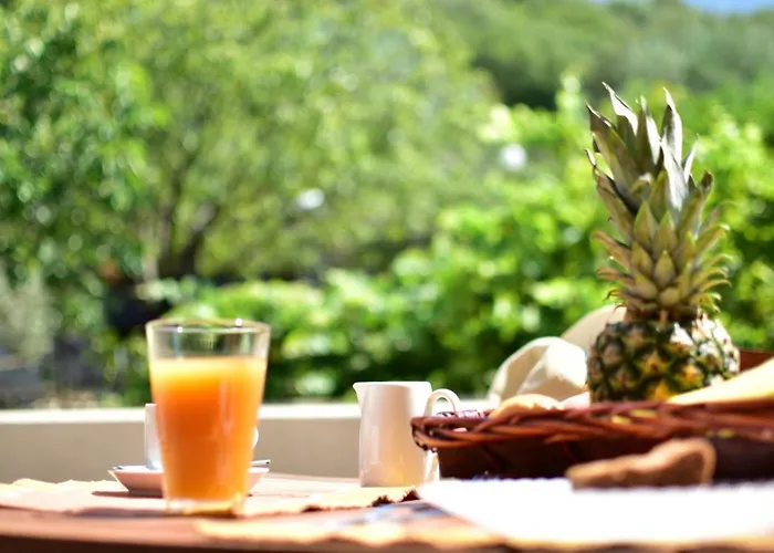 Апартаменты Evianna