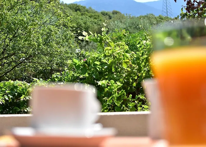 Evianna Appartement Mousata