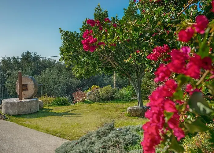 Апартаменты Evianna Мусата