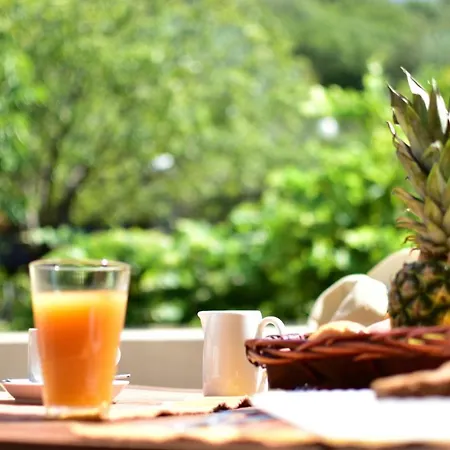 公寓 爱维纳公寓