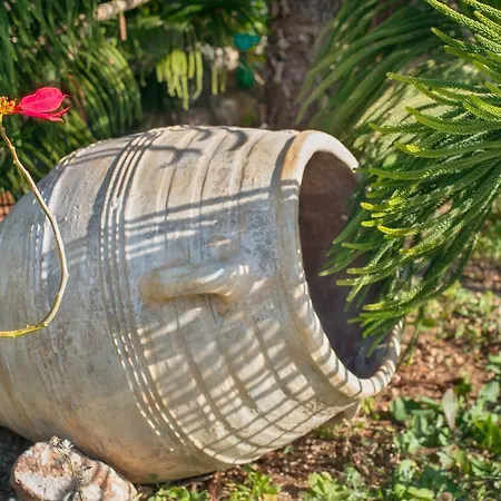 公寓 爱维纳公寓